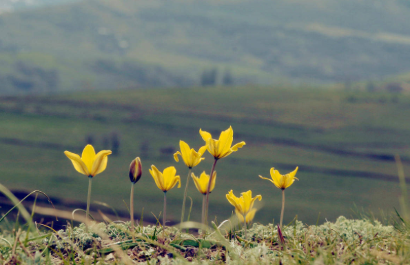 教育将在学生教师业界专家共同形成的圈层中自然生发恣意生长 教育将在学生教师业界专家共同形成的圈层中自然生发恣意生长